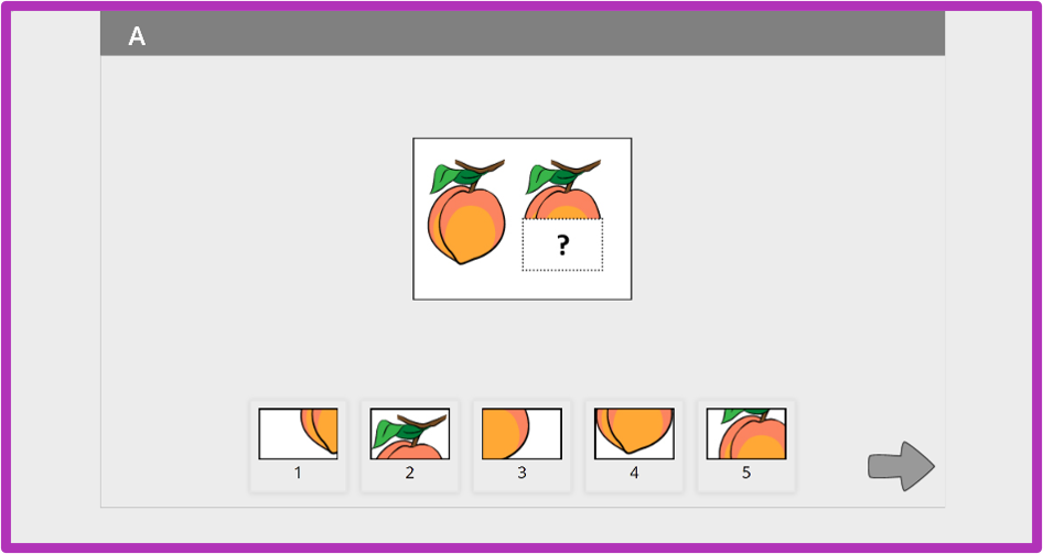 Sample question screens for Nonverbal
