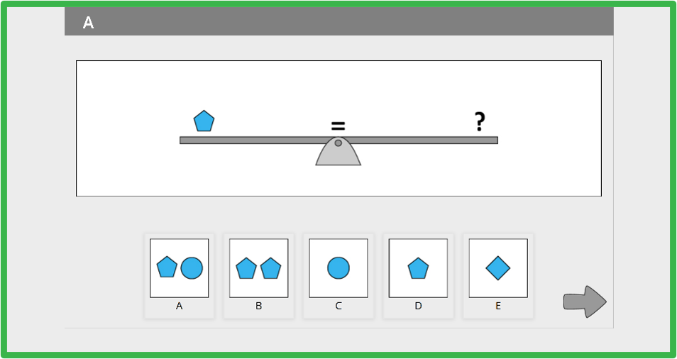 Sample question screens for Quantitative