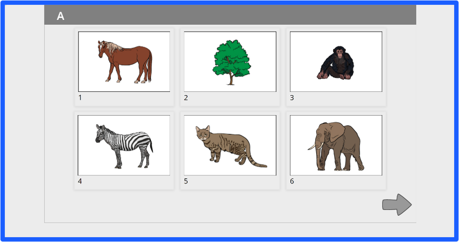 Sample question screens for Verbal